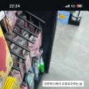 댕댕나라