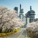 인천경서동녹청자요지 이미지