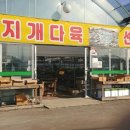 무지개다육