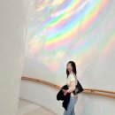 LEEUM 리움미술관 고미술 소장품전 정보 및 후기🎨🎫