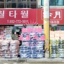 로베르타 이미지