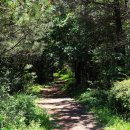 궷물오름 이미지