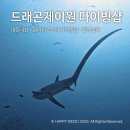 행복한동행 LTA 두번째이야기 | 내돈내산 말라파스쿠아 한인 다이빙샵 ‘드래곤제이원 다이브리조트’ 룸, 식사, 솔직후기