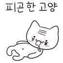 다교막국수