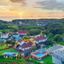 안면애견펜션프리독 이미지