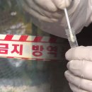 나포농장 이미지