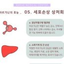 엘아르기닌 복용법 남자 아르기닌 효능 이미지