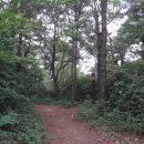 큰골샘터 이미지