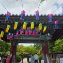 경주 한옥스테이 즐기기 (SNS,여행코스,감성사진)