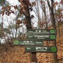윤화자 Daum카페