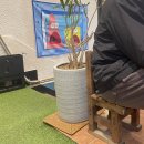 오뚝이양분식 이미지