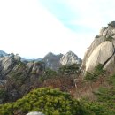 에덴동산 이미지