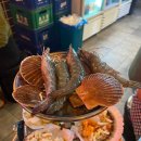 삼바리 이미지