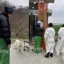 월이집
