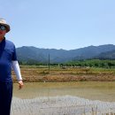 이백면 효기마을 이미지