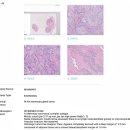 썬메디칼(SUN MEDICAL) | 9살 아쭈 강아지 유선종양 수술