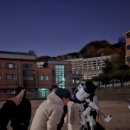 동구중학교 이미지