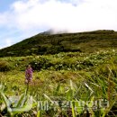 한라전설(주) 이미지