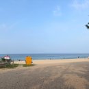 카써비스투 강릉점 | 강릉 애견동반 여행 2박3일 코스 ｜ 실내 애견동반 식당 카페 내돈내산 총정리