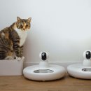 별이 펫푸드 이미지