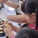 서상동108 | 창원 슈가볼 무더운 여름 창의력 쑥쑥! 실내에서 즐기는 아이와데이트