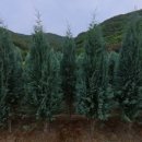 태림농원 이미지