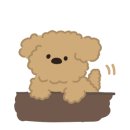 중앙동물병원약품 이미지