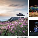 꽃피는 5월, 경남 축제로 물드리다. 이미지