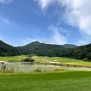 감노로 | 충주 골프장 동촌CC 그린 잔디 상태 맛집 날씨