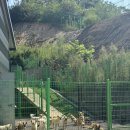부여(임천)-10 | 충남 유기견 봉사 유기동물 부여 보호소 정보 후기 입양하기