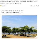 청소하는호랑이 이미지