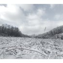 하얀세상 이미지