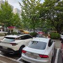 음파음파 수영장 | 8세 수영 시작, 인천 청천동 음파음파수영장 후기