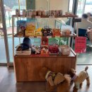 강아지놀이터 이미지