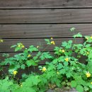 제일신경정신과의원 이미지