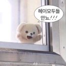 헤이 - 거제시 | 헤이