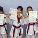 천명 태권도장 이미지