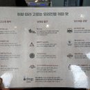 에이드롭커피
