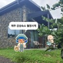 월영사계 | [내돈내산] 프라이빗독채펜션, 산방산 뷰 제주 자쿠지 펜션, 제주 감성숙소 월영사계