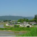 나살던고향 이미지