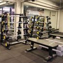 머슬엑스짐 이미지