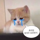 컴퓨터자격증(자격증반) 이미지