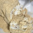 신평동1084 이미지