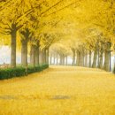 현미민박 이미지