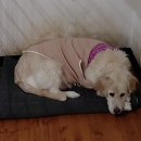 원케어메디텍 이미지