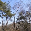 금바위농장 이미지