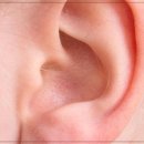 보청기프로 대구서부센타 | 대구보청기, 보청기프로 대구서부센터에서 귀 건강을 책임지다!