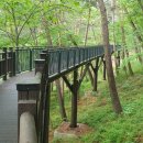 안면도자연휴양림 이미지