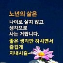 생활의 지혜 한 꾸러미 이미지