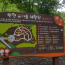 영어마을 유아숲체험원 이미지